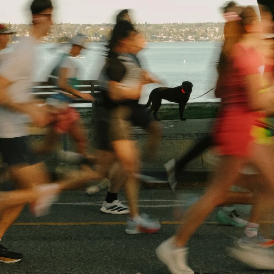 A group of joggers doing an early morning run